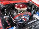 Photo Number 17